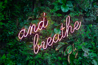 Neon sign reading 'and breathe' glowing pink against a lush green plant wall.
