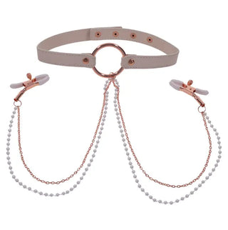 Collar with nipple clamps / bdsm