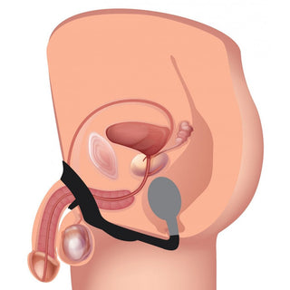 XR Alpha Pro Vibrating Cock & Ball Ring With Anal Plug