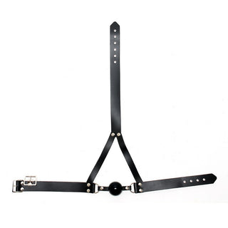 Leather Ball Gag & Head Harness