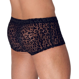 Noir Sheer Animal Print Pants by Noir – Discreet Trunks from My Devilish Desires