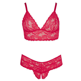 Cottelli Plus Size Red Lace Bra And Briefs by Cottelli Collection – Discreet Erotic Clothing from My Devilish Desires