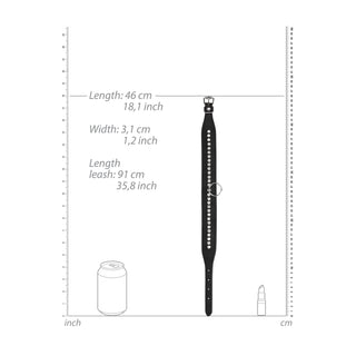 Ouch Diamond Studded Collar With Leash by Shots Toys – Discreet Sex Toys & Erotic Games from My Devilish Desires