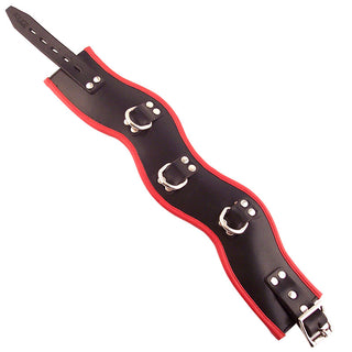 Rouge Garments Black And Red Padded Posture Collar by Rouge Garments – Discreet Sex Toys & Erotic Games from My Devilish Desires