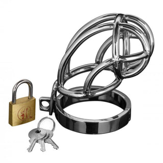 Captus Stainless Steel Locking Chastity Cage by Master Series – Discreet Sex Toys & Erotic Games from My Devilish Desires